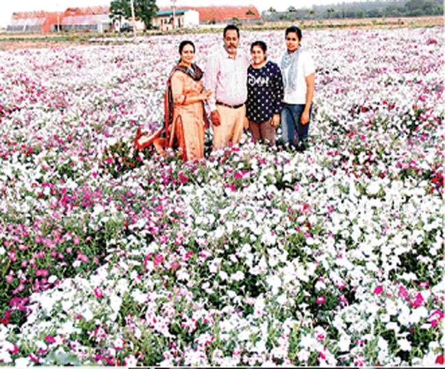 फूलों की खेती से महक उठी जीवन की बगिया