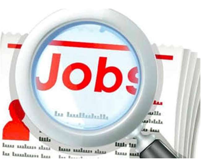 Image result for sarkari naukri