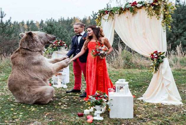 वैडिंग सेरेमनी बनी खास जब वैडिंग रिंग लेकर आया भालू Russian Couple