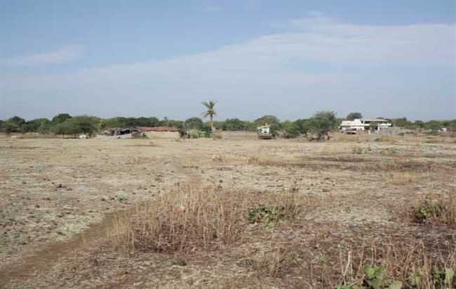 बंजर हो गई देश की 32 फीसद जमीन, जानिए क्‍या है कारण -