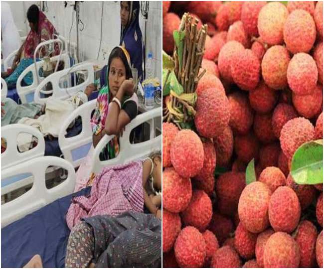 बिहार में बुखार से बच्चों की मौत पर ओडिशा तक हड़कंप, लीची के नमूनों की होगी जांच