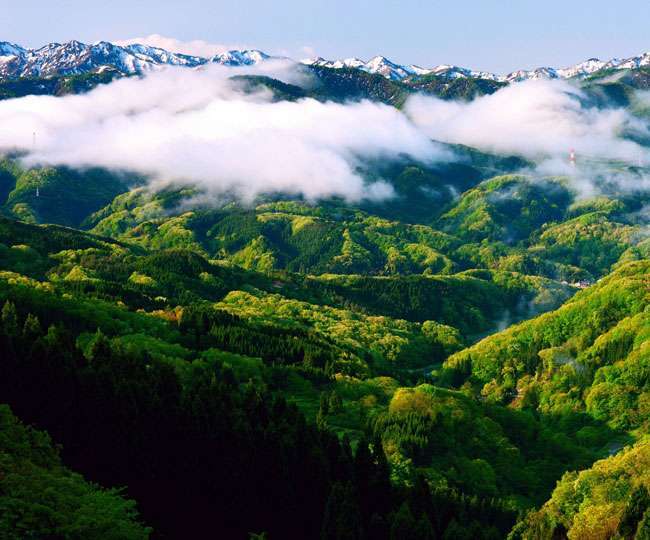 उत्तराखंड की हंसी वादियों में न्यू इयर करना चाहते हैं सेलीब्रेट, इस खबर को जरूर पढ़ें - Hotel is