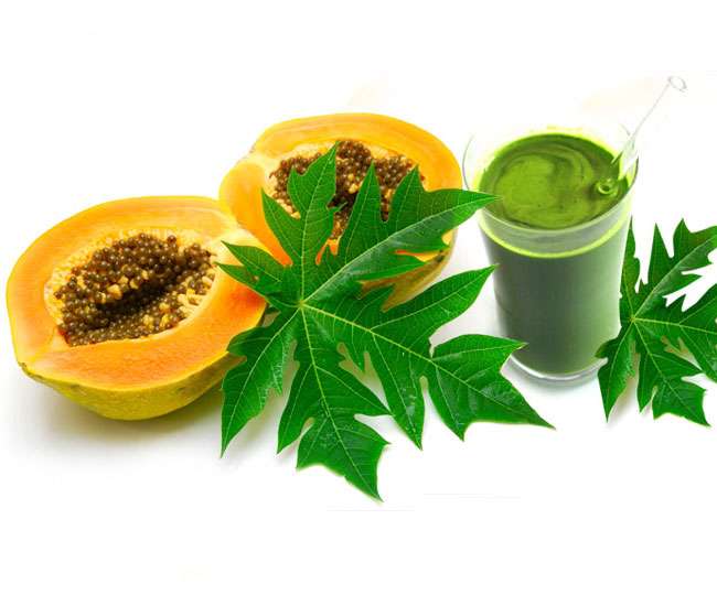 Drinking papaya leaf juice is the perfect remedy to dengue ...