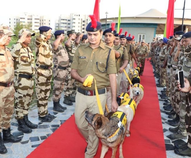 'Thank you for your services': CISF retires seven 'soldier' dogs ...