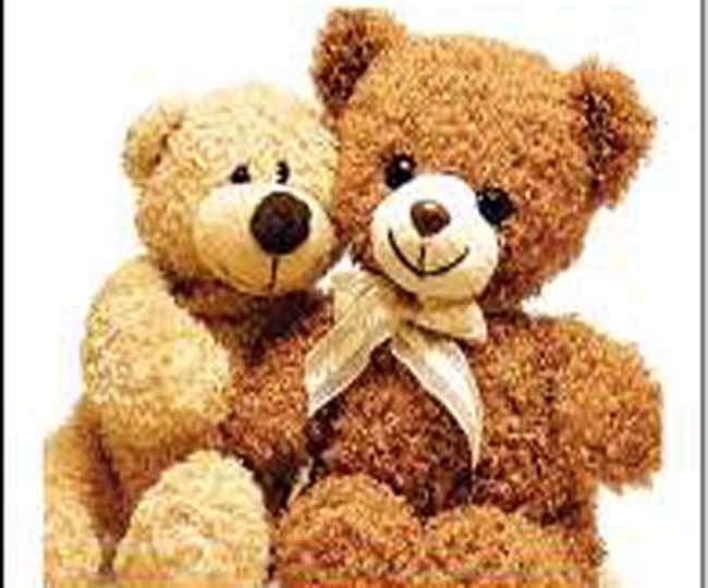 about teddy day