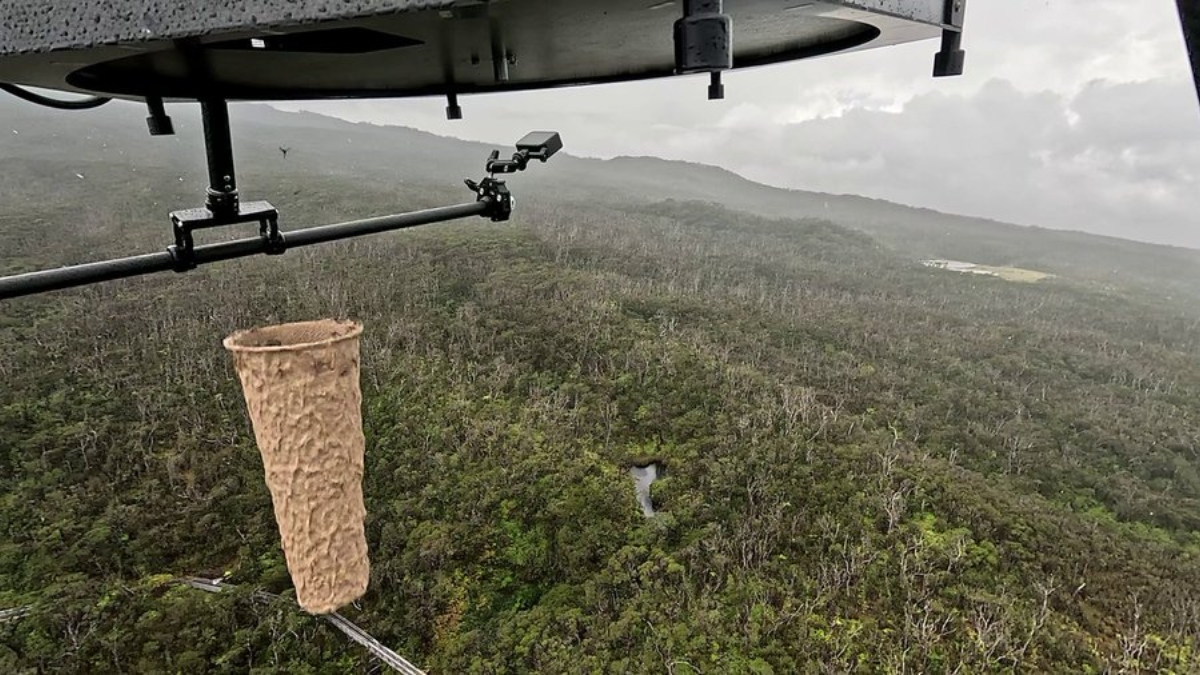https://www.jagranimages.com/images/2025/06/21/article/image/American-Bird-Conservancy-1750488746507.jpg