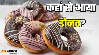 क्या आप जानते हैं डोनट की कहानी (Picture Credit- Freepik)