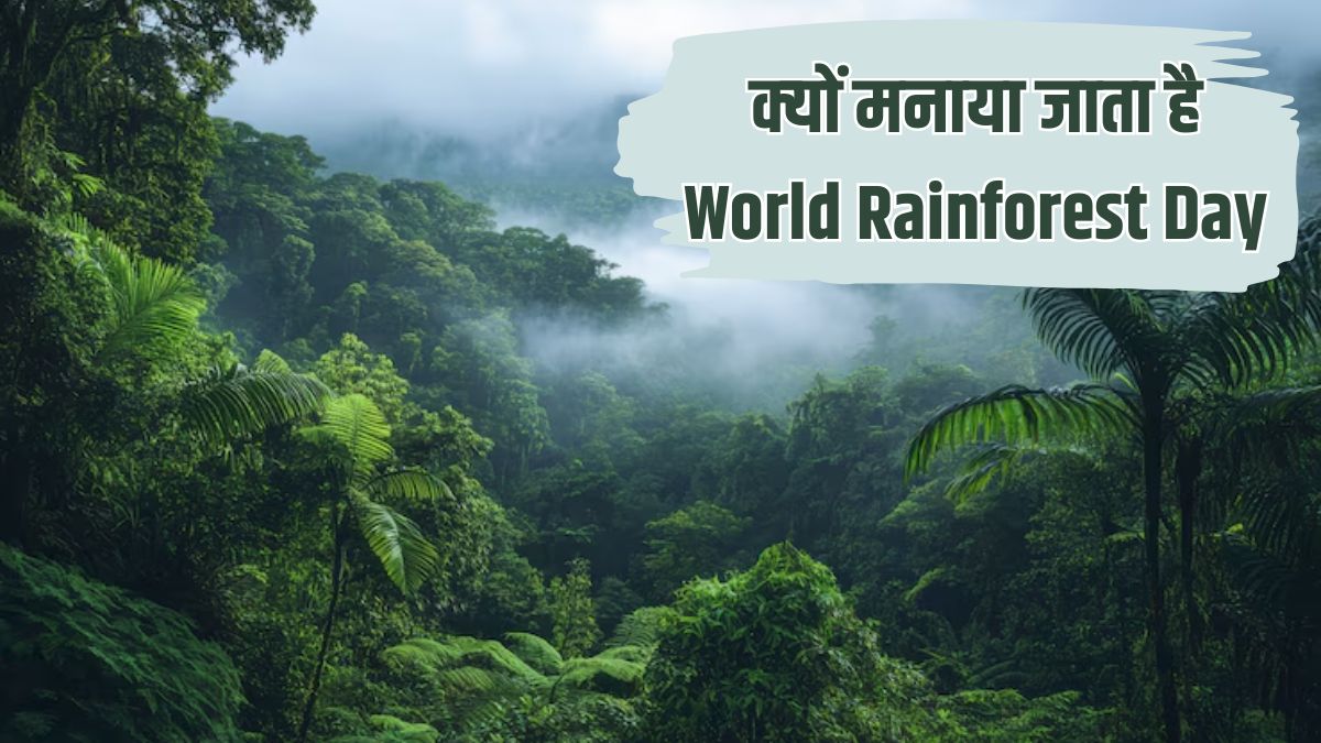 https://www.jagranimages.com/images/2025/06/21/article/image/rainforest-day-1750505498096.jpg