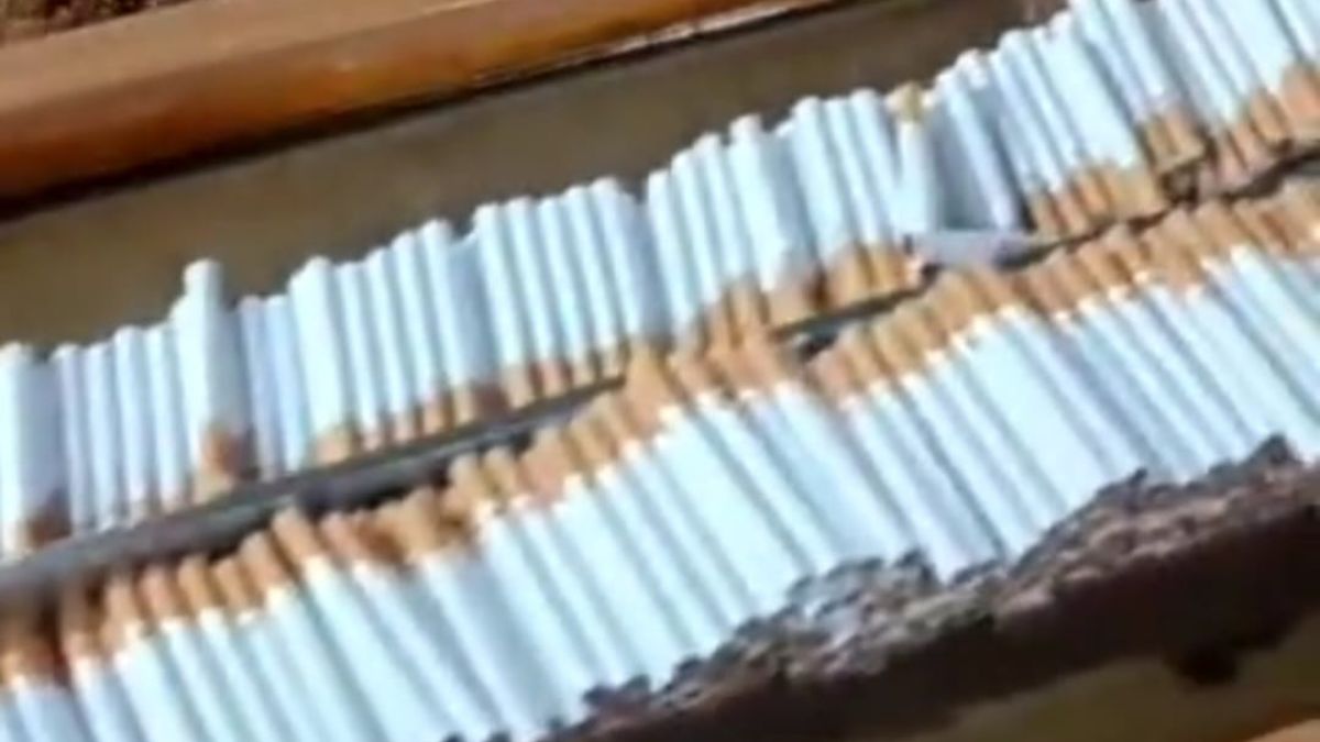 police busted a fake cigarette manufacturing factory in sasaram and recovered cigarettes worth rs 3 crore