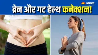 मेंटल हेल्थ पर असर डालती है गट हेल्थ (Picture Courtesy: Freepik)