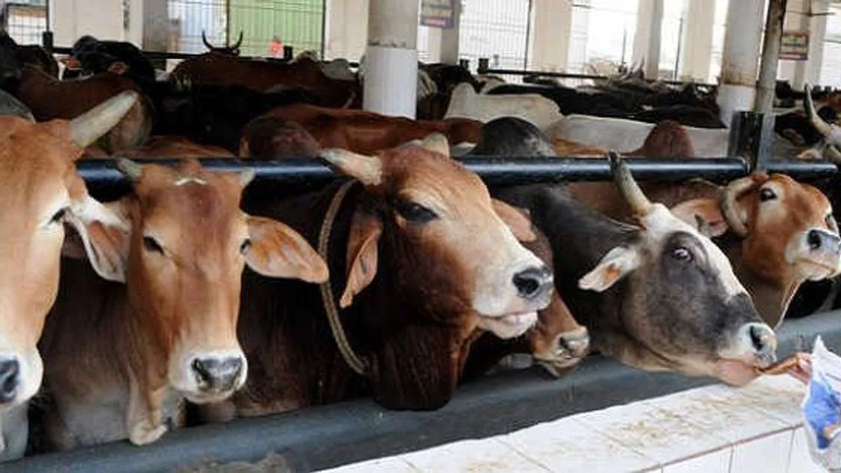 milk and fish production in bihar has tripled in 20 years and egg production has increased by four and a half times
