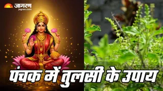 Panchak main Tulsi ke Upay
