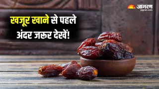 खजूर खाने से पहले जरूर कर लें ये काम, डॉक्टर ने दी सलाह (Image Source: Freepik)