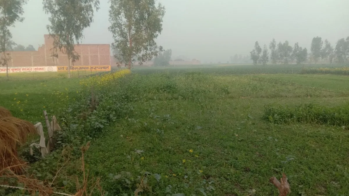 प्रयागराज में सरकारी जमीन पर कब्जा करने वाले भूमाफिया पर शिकंजा, अतीक अहमद के करीबी से मुफ्त कराई गई जमीन
