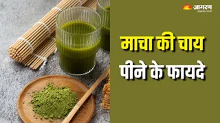 सेहत के लिए क्यों फायदेमंद है माचा? (Picture Courtesy: Freepik)