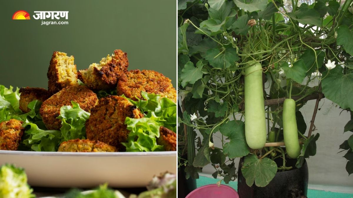 https://www.jagranimages.com/images/2025/06/25/article/image/Bottle-Gourd-Fritters-1750862710540.jpg