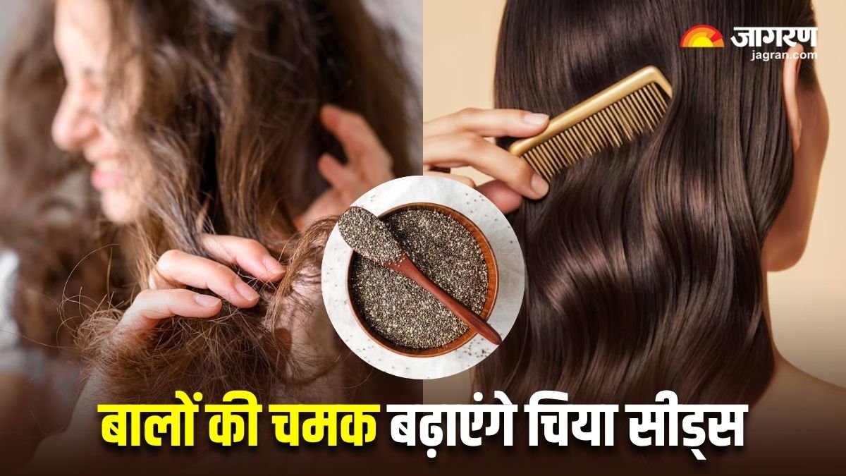 https://www.jagranimages.com/images/2025/06/25/article/image/Chia-seeds-for-hair-1750865115620.jpg