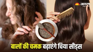 झाड़ू जैसे बालों में नई जान फूंक देंगे Chia Seeds (Image Source: Freepik)