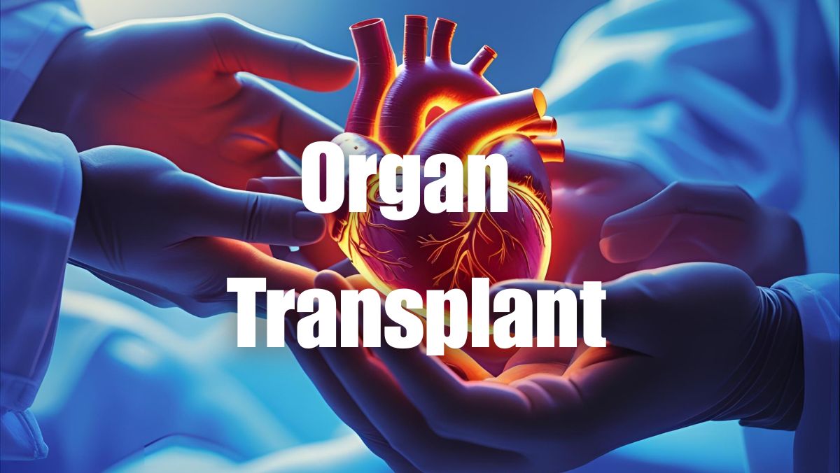 delhi government hospitals are lagging behind in organ transplant surgery