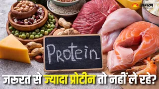 ज्यादा प्रोटीन भी पहुंचा सकता है नुकसान (Picture Courtesy: Freepik)