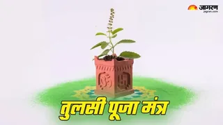 Tulsi Mantra: तुलसी पूजा के नियम