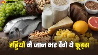 डाइट में शामिल करें कैल्शियम रिच ये फूड्स (Picture Credit- Freepik)