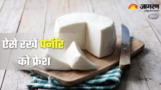 पनीर को फ्रेश रखने के टिप्स (Picture Credit- Freepik)