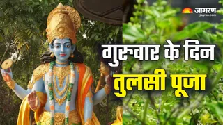 Guruwar Tulsi Puja भगवान विष्णु को प्रिय है तुलसी।
