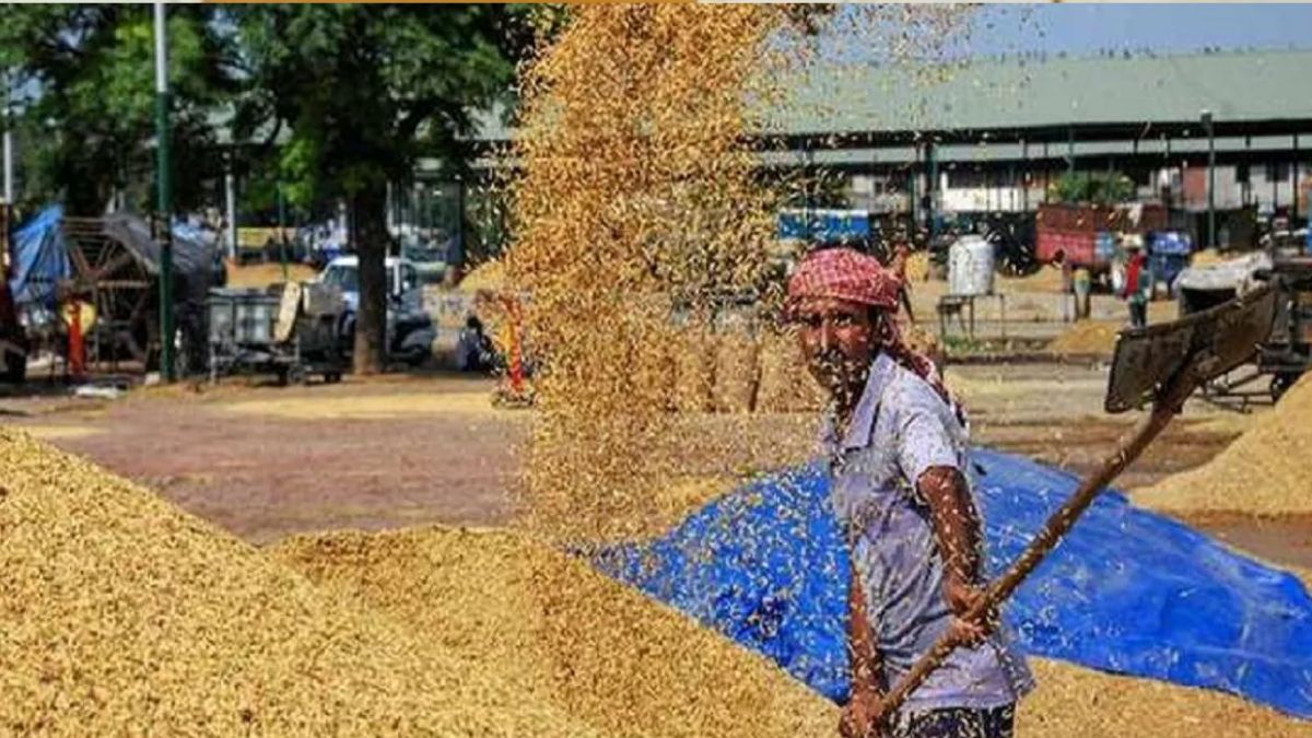 https://www.jagranimages.com/images/2025/06/26/article/image/Paddy-farmer-1750917160191.jpg