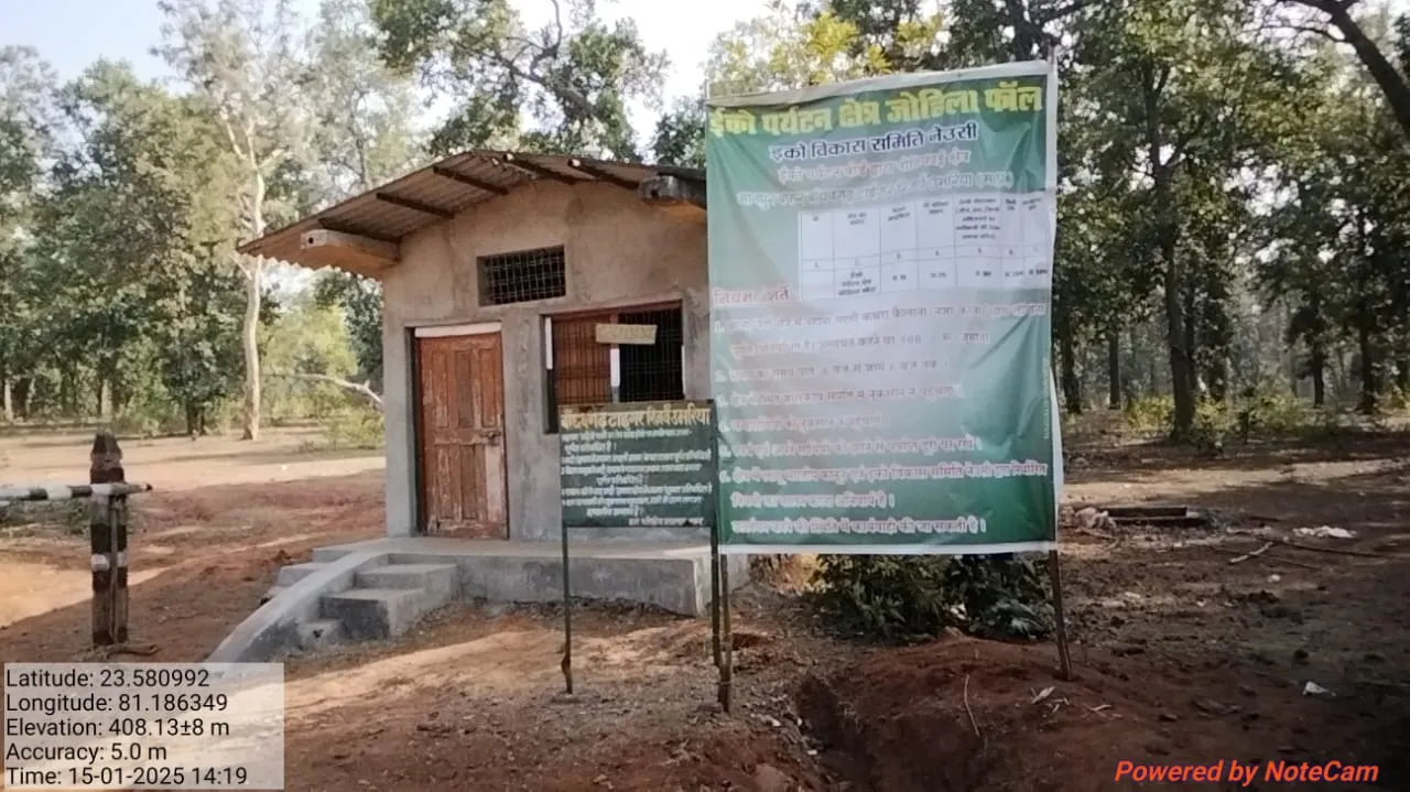 प्रकृति के बीच मानसून में भी वनराज के दर्शन करना हैं तो बांधवगढ़ आइए