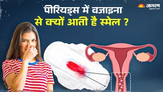 अब नहीं आएगी वजाइना से स्मेल (Image Credit-Freepik)