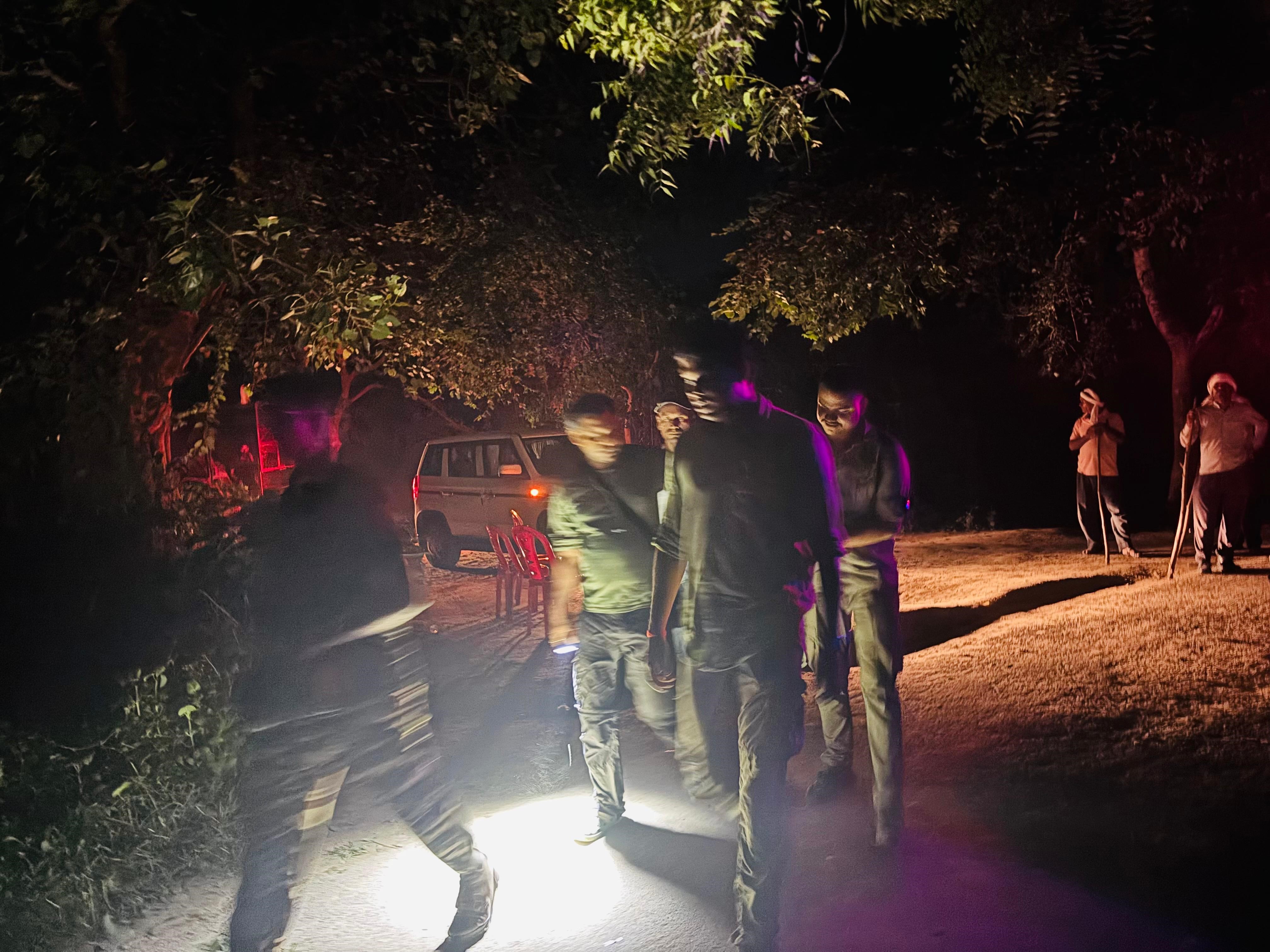 cub captured after tiger and tigress in sitapur area sealed