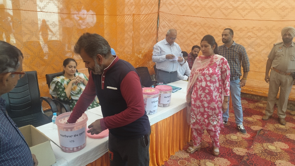fazilka diwali 67 fireworks licenses issued for diwali sales