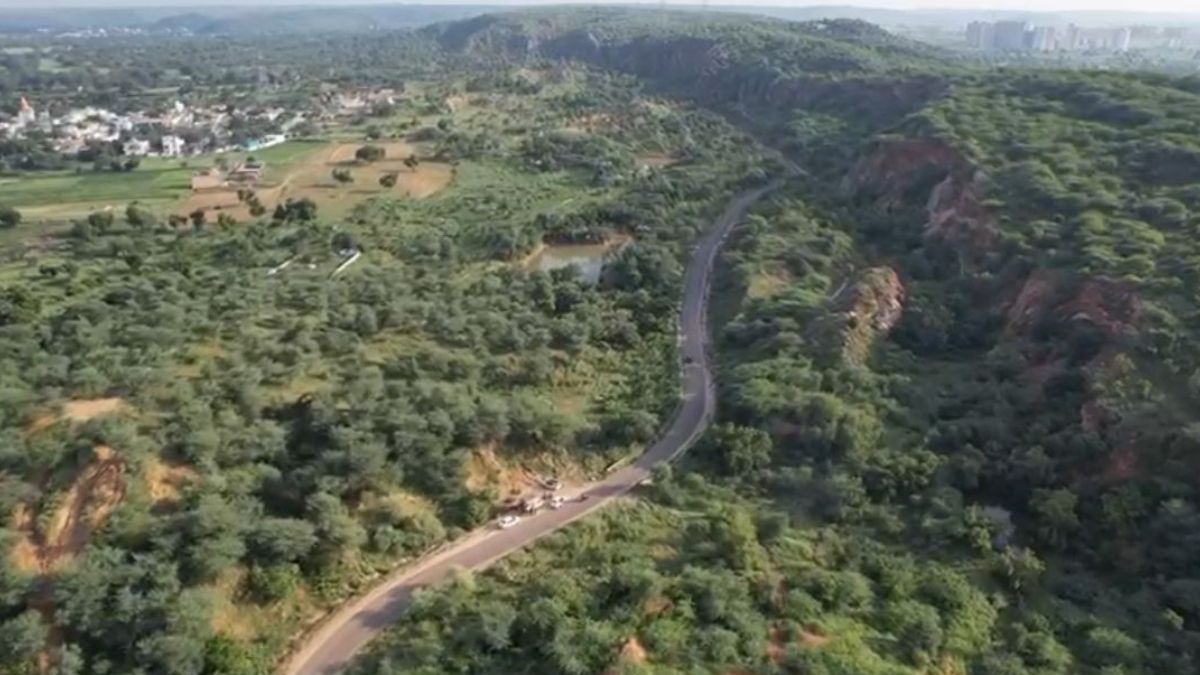 aravali jungle safari supreme court petition filed full details