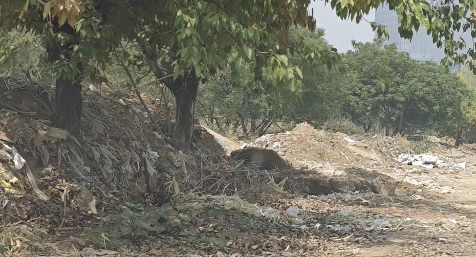 gurugram to become debrisfree cleanup operation begins