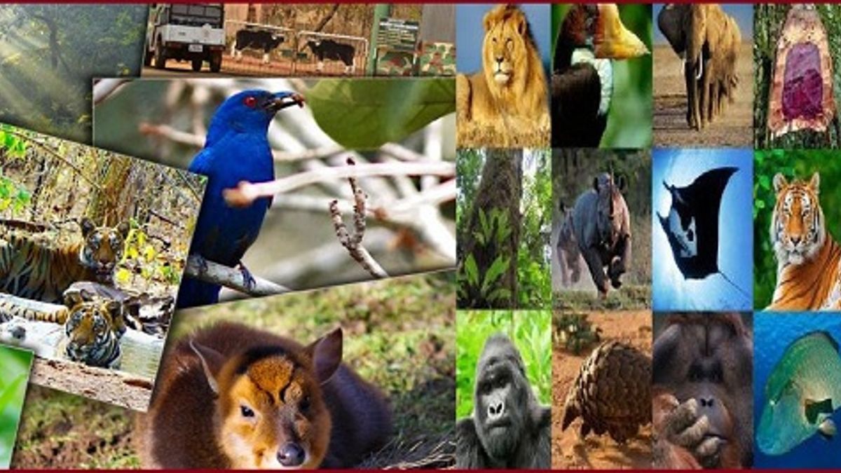 indias conservation efforts red data book for endangered species by 2030