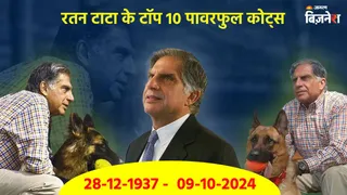 'नेवर अंडरएस्टिमेट द पॉवर ऑफ...', रतन टाटा की ये 10 बातें जीवन में लगा देंगी चार चांद, आप हो सकते हैं कामयाब!