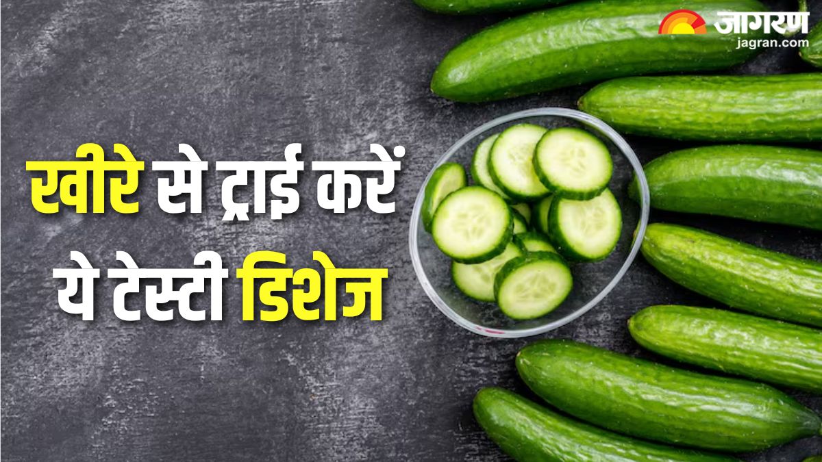 cucumber dishes to try this summer season to stay hydrated