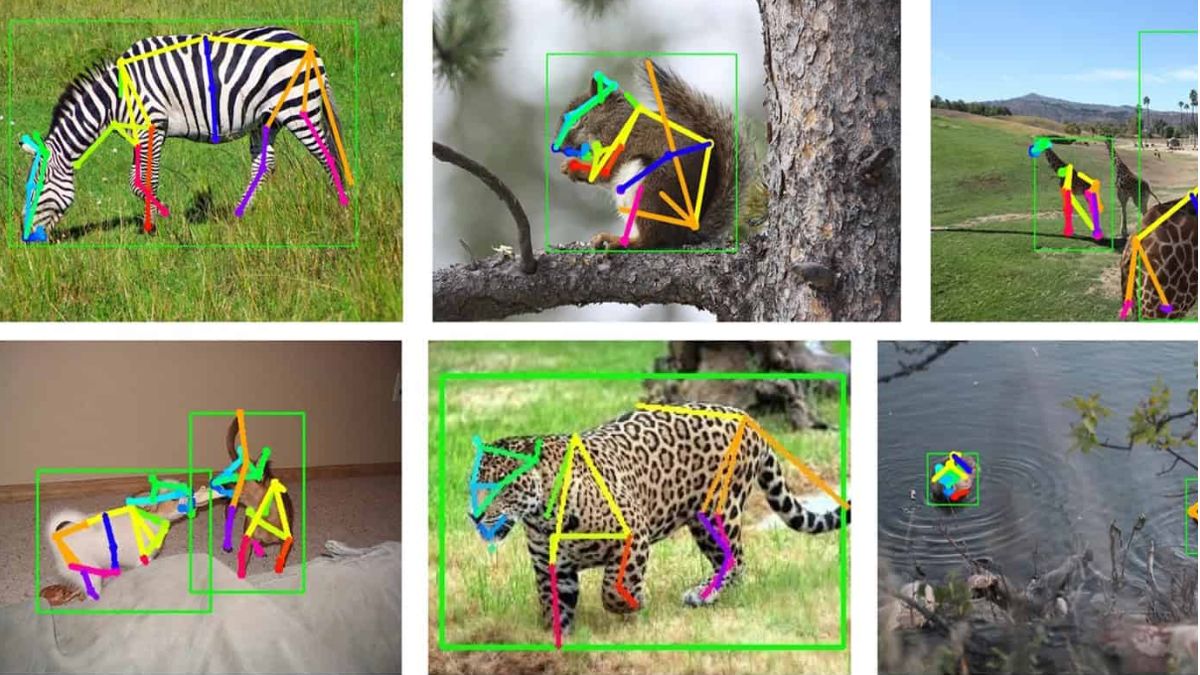 ai monitoring of animals up forest department planned for ai monitoring of animals