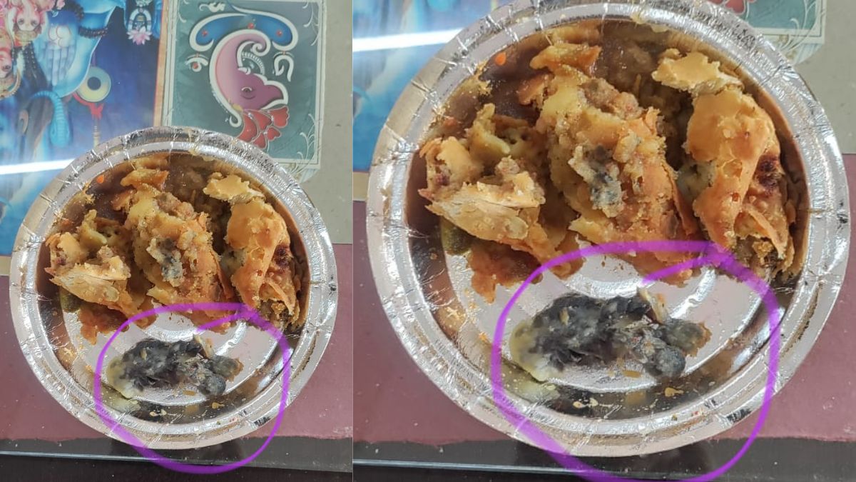 case filed against shopkeeper in ajmer after dead animal found in samosa