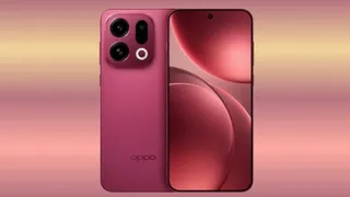 News Article Hero Image