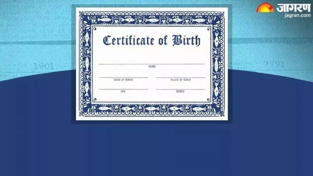 crackdown on brokers in bhagalpur birth death certificate branch