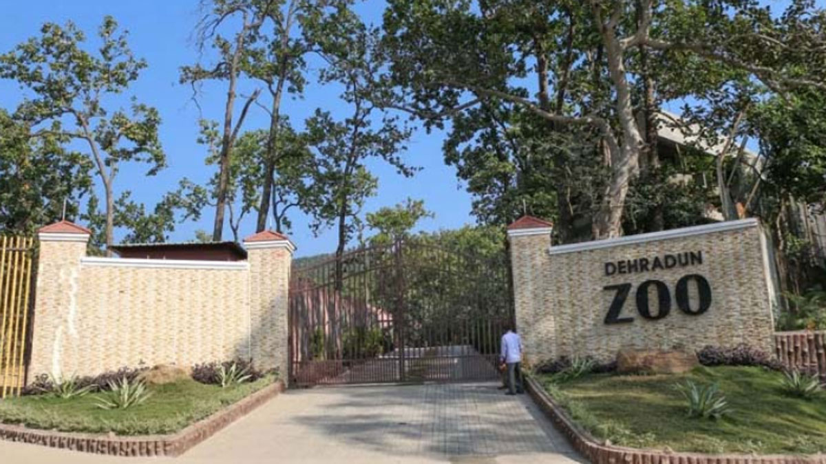 white tiger will come to dehradun zoo