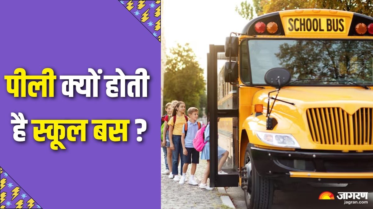 the scientific reason why school buses are yellow its all about safety