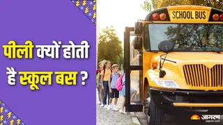 स्कूल बसें पीली क्यों: जानिए वैज्ञानिक कारण (Picture Credit- Freepik)
