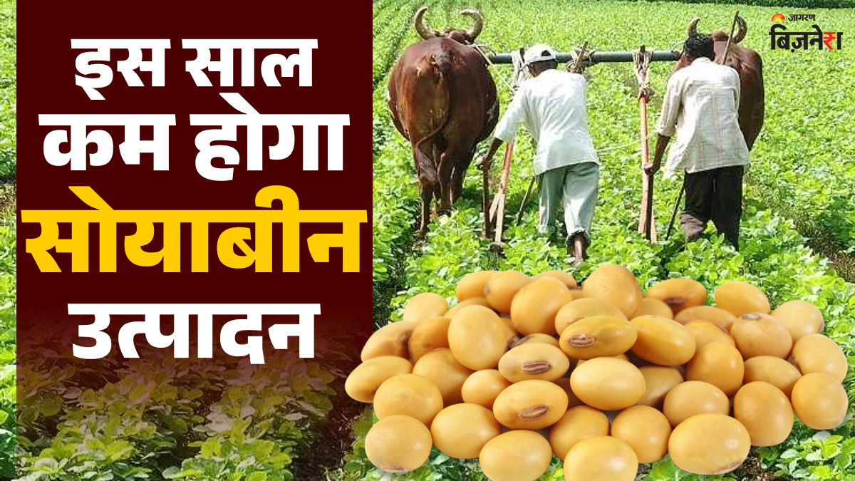 india soybean production may decline by 205 lakh tonnes this year posing a setback to oilseed