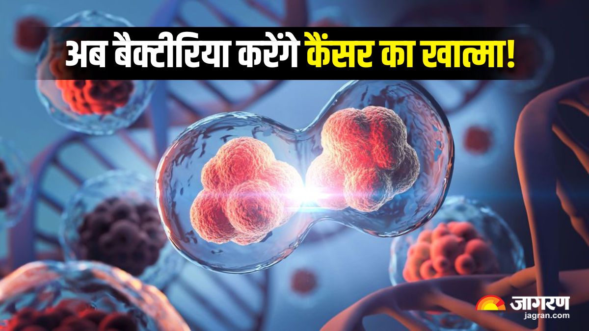 scientists discover new cancer treatment method to boost the immune system