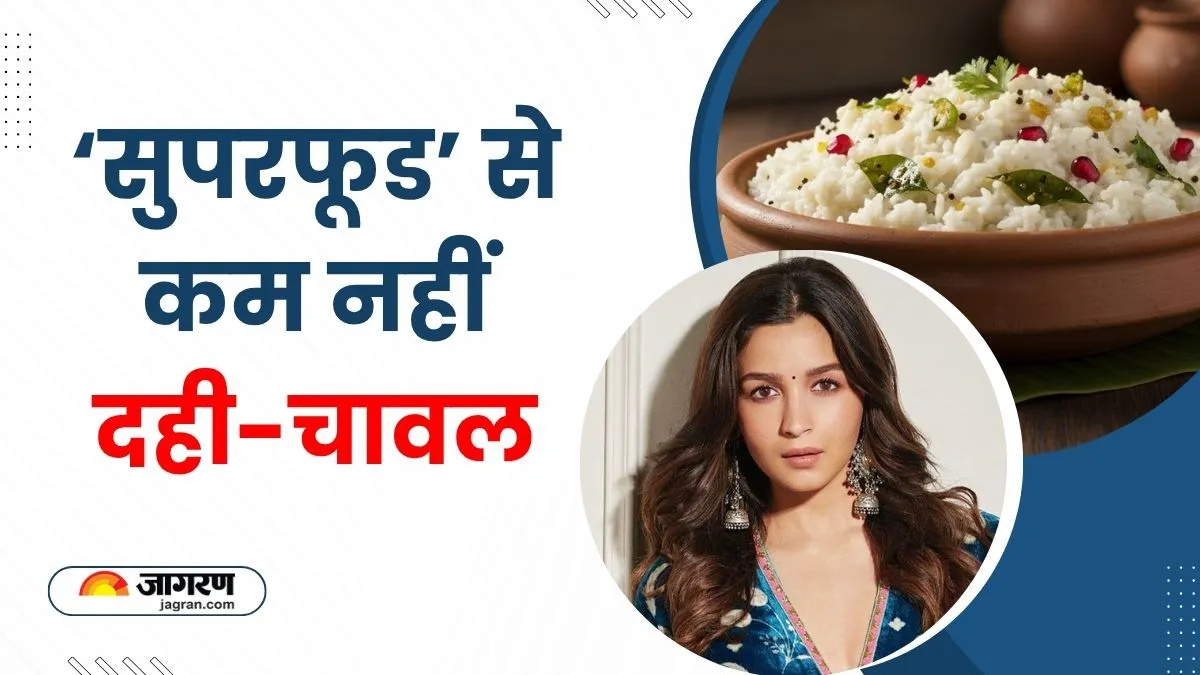 Alia Bhatt की फेवरेट डिश है 'दही चावल', डॉक्टर भी मानते हैं इसे सेहत का खजाना