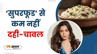 क्यों सेहत के लिए फायदेमंद है 'दही चावल'? (Image Source: X)