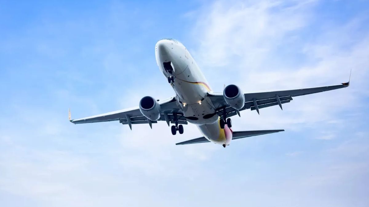 akasa air flight bird strike safe landing in delhi